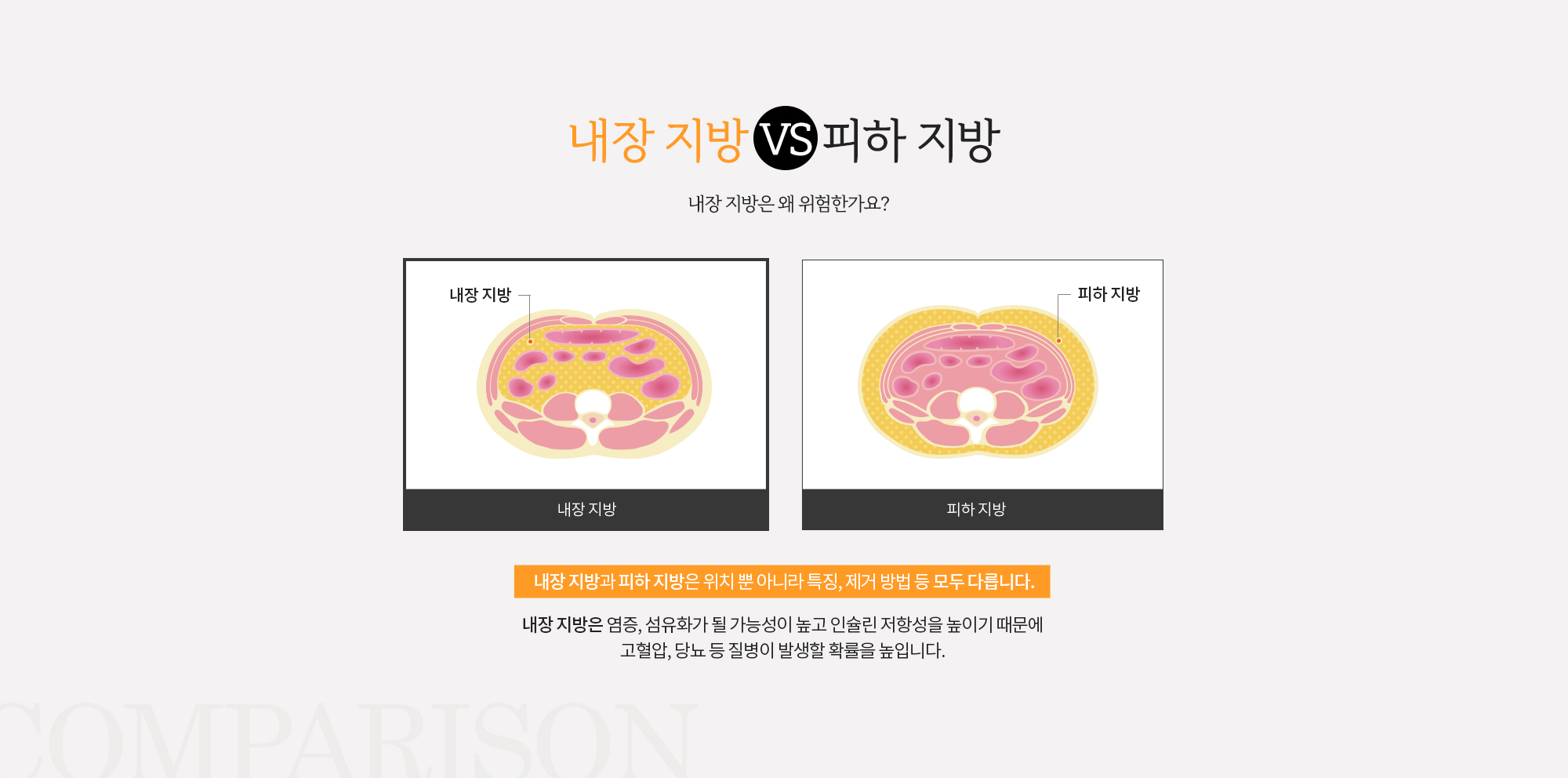 내장지방 vs 피하지방